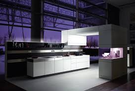 modern white kitchen design for 2010