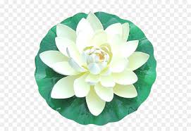 Pond Cartoon Png Download 618 618 Free Transparent Nelumbo Nucifera Png Download Cleanpng Kisspng A beautiful country garden with a small pond, walkway, lots of plants and flowers and trees. pond cartoon png download 618 618