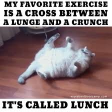 Funny Fitness Cat Meme Workout Memes Funny Workout Memes Workout Humor