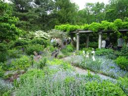 Best garden blogs with real gardeners. Garden Dilemmas Delights Discoveries Ask Mary Stone Two Best Gardeners Of The Garden State Garden Dilemmas Delights Discoveries Ask Mary Stone