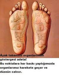 Ayakta Hangi Organ Hangi Kisma Bagli Reflexology Foot Chart Reflexology Foot Reflexology