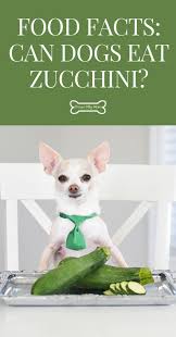 Although zucchini is an excellent source of nutrients, before you give your dog any you should know. Food Facts Can Dogs Eat Zucchini Proud Dog Mom Can Dogs Eat Foods Dogs Can Eat Dog Safe Food