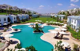 3 types of entrepreneurs you meet at 3 different pools