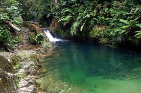 Ayer hitam forest reserve is a 1248 hectares forest reserve managed by universiti putra malaysia located in puchong, petaling, selangor, malaysia. Thanks To New Lrt Stations Here Are The 10 Exciting Places We Can Now Get Easily To Discover Kl