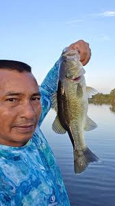 Great afternoon bass fishing w Jay