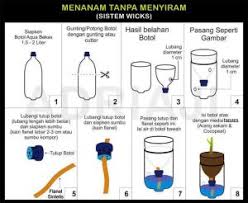 6 Cara Menanam Hidroponik Bawang Merah Ilmubudidaya Com