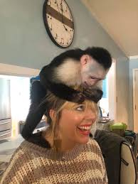 parents as first teachers of children