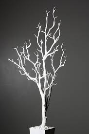 ✓ free for commercial use ✓ high quality images. White Stick Tree Fm9018 B Flora Mystique