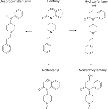 Fentanyl is a potent synthetic opioid, which, similar to morphine, produces analgesia but to a greater extent. Fentanyl An Overview Sciencedirect Topics