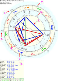 explanation of a horoscope birth chart drawing what is in