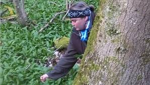 Das haus lochfeld in wittersheim ist ein kulturlandschaftszentrum, das den menschen den kulturlandschaftsschutz näherbringt. Biosphare Bliesgau Workshop Im Haus Lochfeld Barlauch Die Kraftpflanze Der Germanen Homburg1