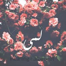 معاني الأسماء لمى معنى اسم لمى س مرة أو سواد في Facebook