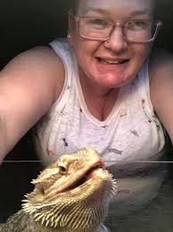 Digging box ideas for bearded dragons?