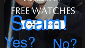 If you take a look at the products, you will likely find that the item is small in size. Best Of Rocco Watches Just Pay Shipping Free Watch Download Todaypk