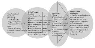 Instead, race is a social construct and a basis for political struggles in the fight for racial justice. Https Ecommons Luc Edu Cgi Viewcontent Cgi Article 1097 Context Jcshesa