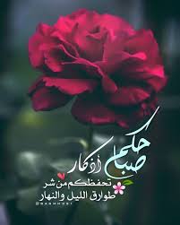 pin by rose on صباحيات ومسائيات good morning flowers morning