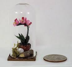 Unique Valentine S Day Gift Miniature Cattleya Orchid In Etsy Small Glass Dome Miniatures Cattleya Orchid