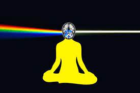 Johns Hopkins Studying Effects Of Psilocybin On Brains Of Long Term Meditators
