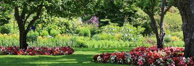 Check spelling or type a new query. Top 10 Shade Plants For North Houston Kingwood Garden Center