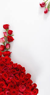 Pin By Mavi Prenses On Wallpapers Cutes Red Roses Wallpaper Nature Iphone Wallpaper Rose Wallpaper