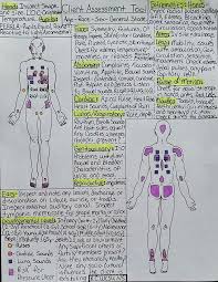 Head To Toe Assessment Cheat Sheet Nursing School Nursing School Survival Nursing Assessment