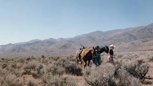 The film is set in the 1950s in nevada (a state that was famous for issuing quick divorces), so the soundtrack is filled with country, rockabilly, bluegrass. Janus Films Desert Hearts