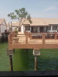 1.1km petrol pump caltex 1.7km sk pasir panjang n9 10km tanjung tuan recreation forest 11km kuala linggi melaka 12km teluk kemang pd 18km pantai bagan pinang 23km port dickson 57km ayer keroh. Holiday Port Dickson Crystal Private Water Chalet Port Dickson Harga Terkini 2021