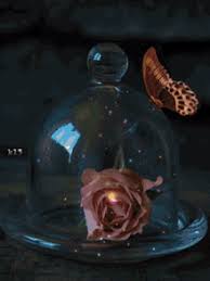 Nature whatsapp dp flowers with butterfly. Butterfly Rose Gifs Tenor