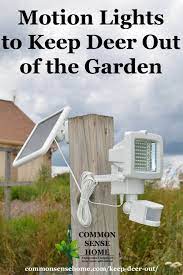 Pir motion sensor light lamp wall switch occupancy detector auto on off white. Keep Deer Out Of Your Garden 5 Deer Deterrent Tips