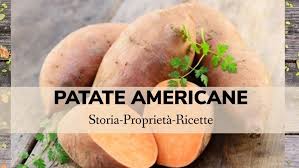 Le patate dolci possono essere cucinate in diversi modi, scopri 7 ricette con altrettanti metodi di cottura, preparazioni e condimenti. La Patata Americana Tra Storia E Tradizione Itcrespino