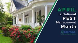 These climate conditions are favorable to fire ants. Russell S Pest Control Home Facebook