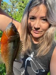 Updated: From the number of the "reactions" from so many