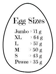 Individual Egg Size Chart In Grams Chicken Life Egg Chart