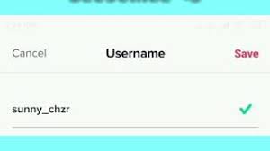Charli Tiktok Fanpage Username Ideas Youtube If you dont like her then please dont join or accept requests cuz we dont want bad vibes. charli tiktok fanpage username ideas