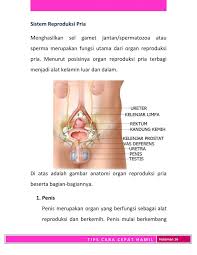 Mengatur keuangan penting untuk masa depan finansial yang lebih baik. Share Ebook Cara Cepat Hamil Gratis Ibuhamil Com