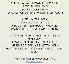 Mary Oliver I Want To Be Dazzled Imperfections Are Nothing Cool Words Wonderful Words Wise Words