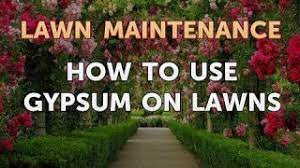Gypsum is a naturally occurring mineral which contains calcium and sulfur. How To Use Gypsum On Lawns Youtube
