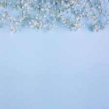 Looking for the best wallpapers? Top Border Made With White Baby S Breath Flowers On Blue Background Nohat Free For Designer