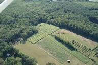 Schartner Farms - 2011 Corn Maze