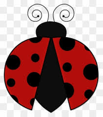 Http Duda Cavalcanti Minus Com M9ytoj9vp Numeros Da Ladybug Free Transparent Png Clipart Images Download This high quality free png image without any background is about insect, beetle, bug, pest, zoology, bite, ladybug, ladybird and animals. m9ytoj9vp numeros da ladybug