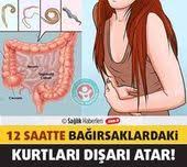 Bagirsak Kurdu Dokturen Dogal Kurler Dogal Saglik Ve Zayiflama Planlari