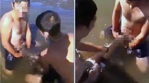 Stuffed Carp: Video of man having sex with fish goes viral - TRPWL