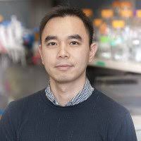 The Yael David Lab: Former Lab Members