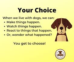 Maybe you would like to learn more about one of these? Dog Developmental Periods Homeskooling 4 Dogs