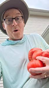 First batch of home made sauce of the season from our own home-grown  tomatoes! Anyone hungry??