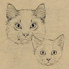 Best drawing ideas cute animals ideas #drawing. Bagaimana Menggambar Anak Kucing Super Lucu Tahap Demi Tahap