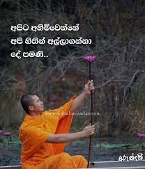 New funny tik tok videos sinhala 2021 sri lanka tiktok compilations tiktok sinhala funny videos. Buddha Archives Sinhala Nisadas