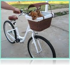 Basket And Crate Haustier Fahrradkorb Hund Basketandcrate Basketcratedog H Basket Basketandcrate Basketcratedog Cra In 2020 Basket And Crate Crates Basket
