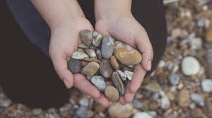You can search several different ways, depending on what information you have available to enter in the site's search bar. Rocks Minerals Coloring Page Elementary Science