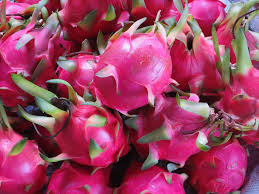 This plant is easy to grow and it can grow in garden and pots. How Does Dragon Fruit Grow The Produce Nerd